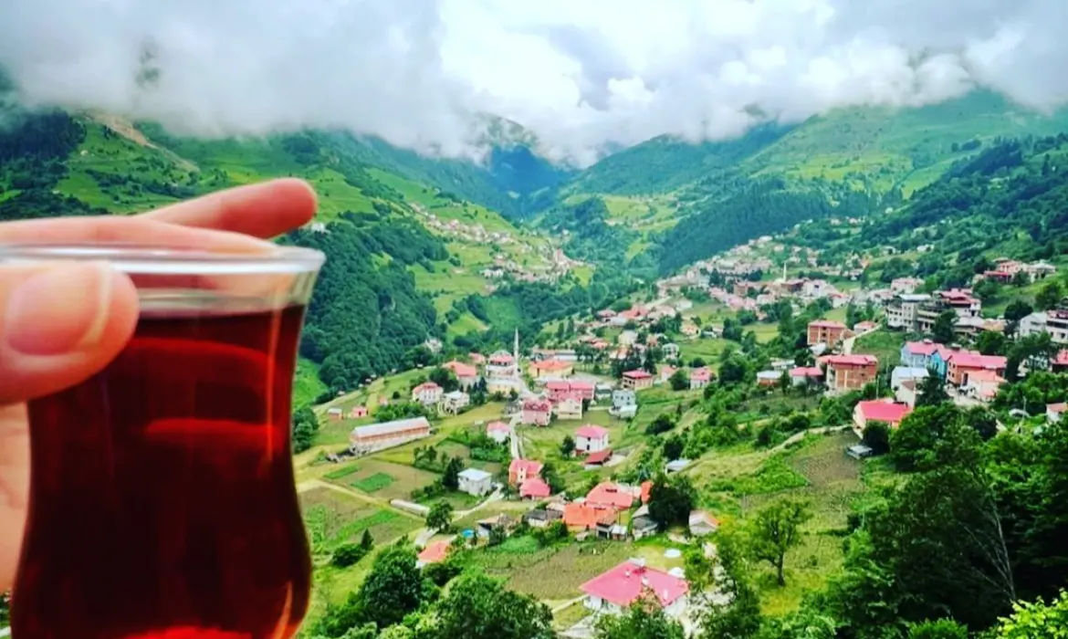 Kamp Alanı