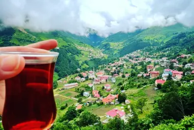 Kamp Alanı